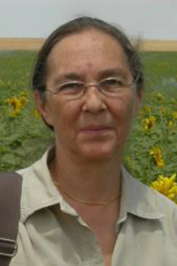 Canan Koç
